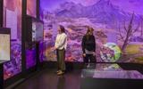 Ausstellungsansicht