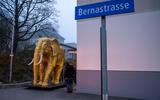 Das NMBE-Maskottchen Caruso in neuem Glanz